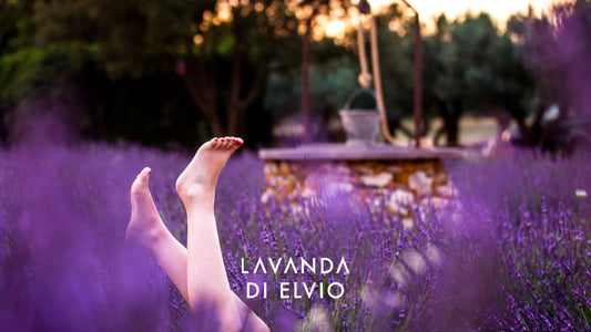 depurarsi dopo le feste con la lavanda di elvio