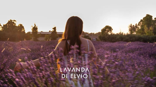Lavanda di Elvio per ansia e insonnia