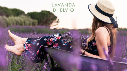 Benefici della Lavanda per le irritazioni e gli eritemi solari