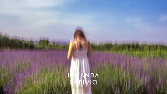 Come la Lavanda può aiutare la pelle durante le terapie oncologiche
