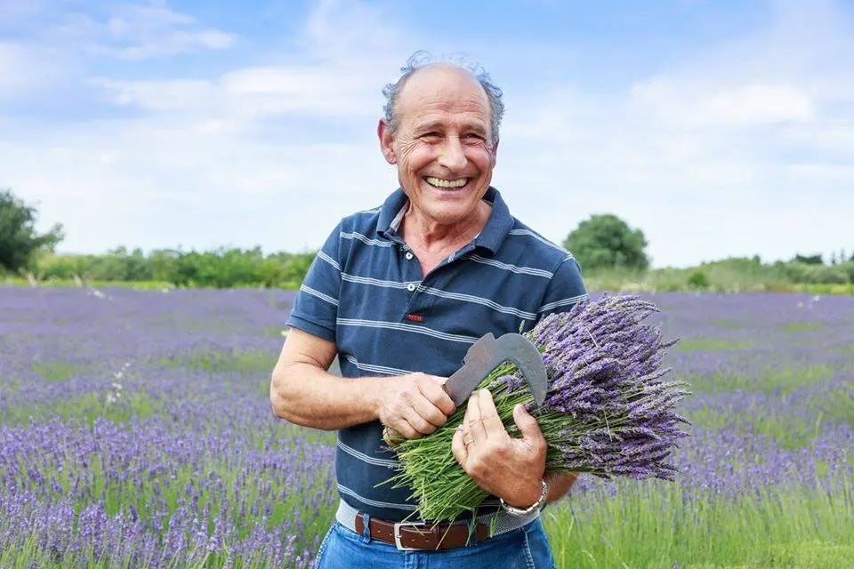 Elvio Sulas campo di Lavanda in Sardegna