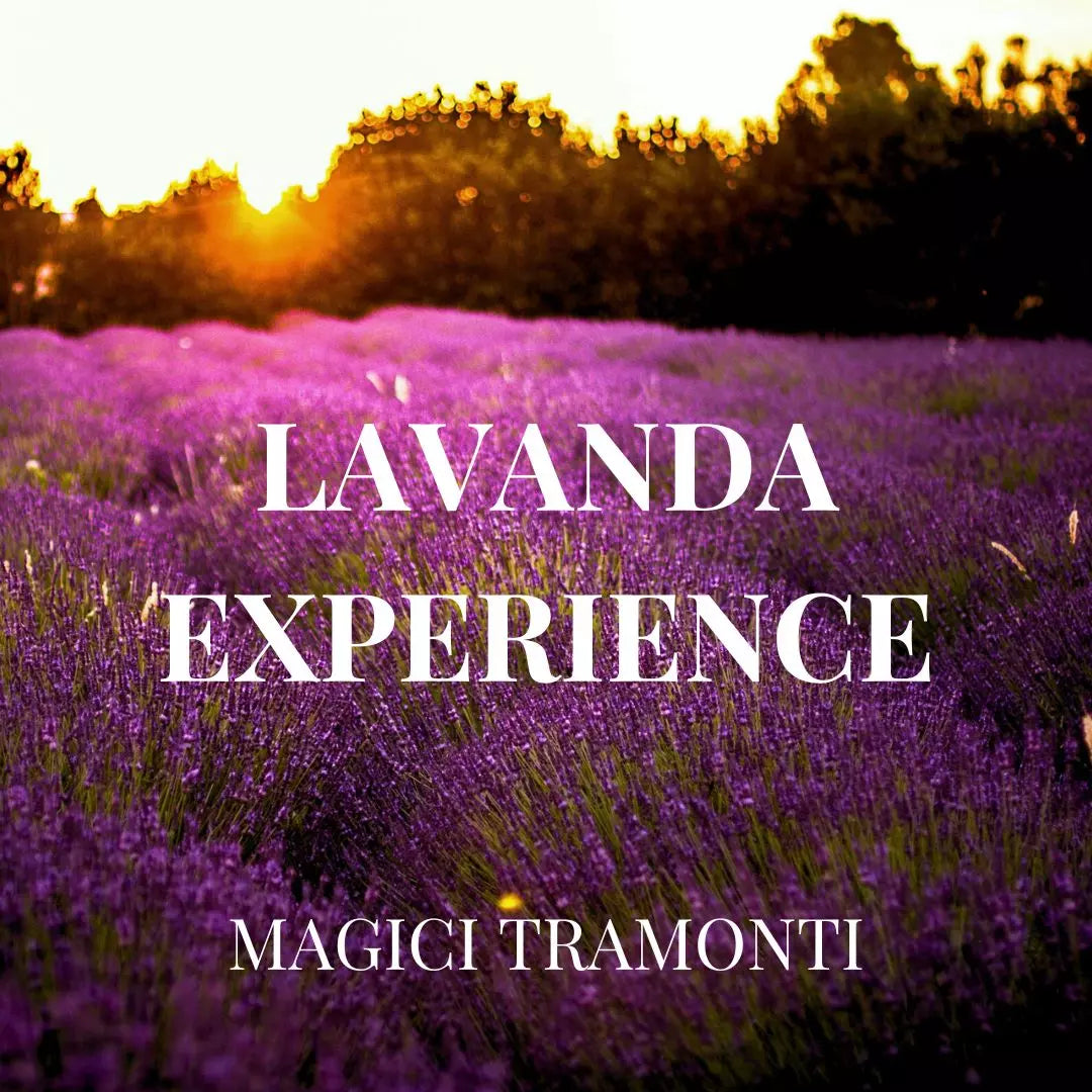 Lavanda Experience - Magici Tramonti