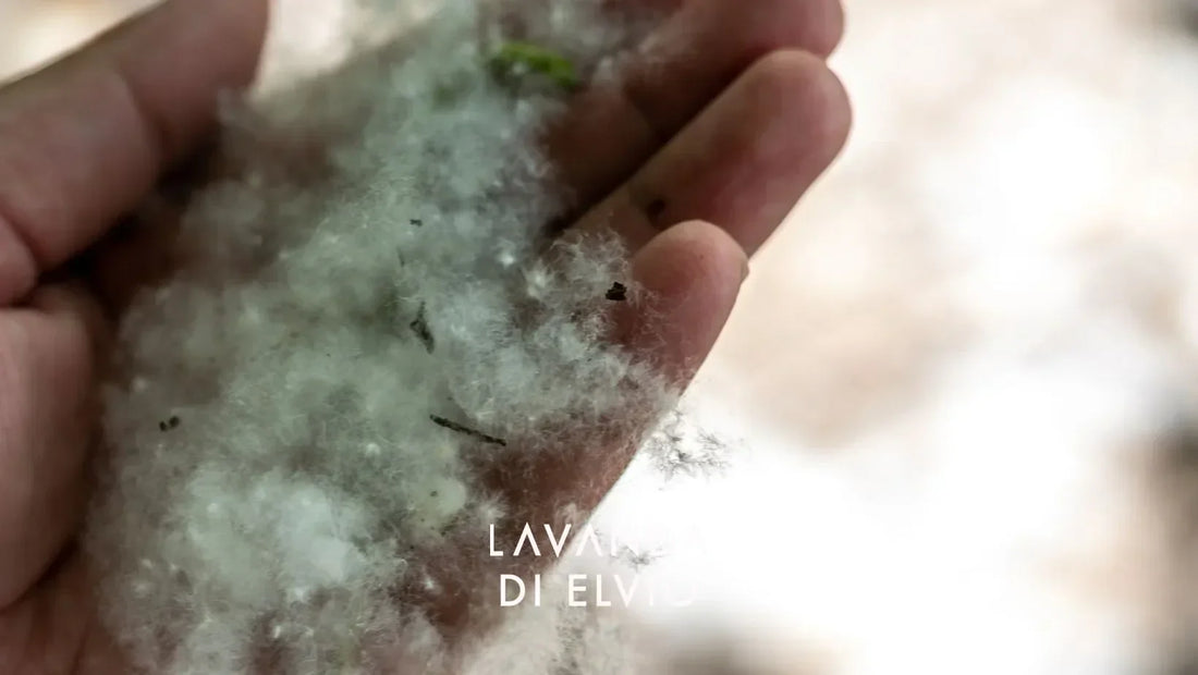 Rinite Allergica: Come Riconoscerla e Come la Lavanda può aiutarti a Stare Meglio: