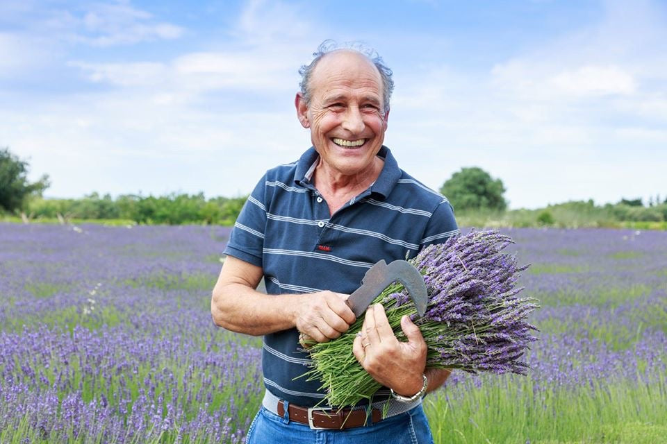 raccolta della Lavanda di Elvio